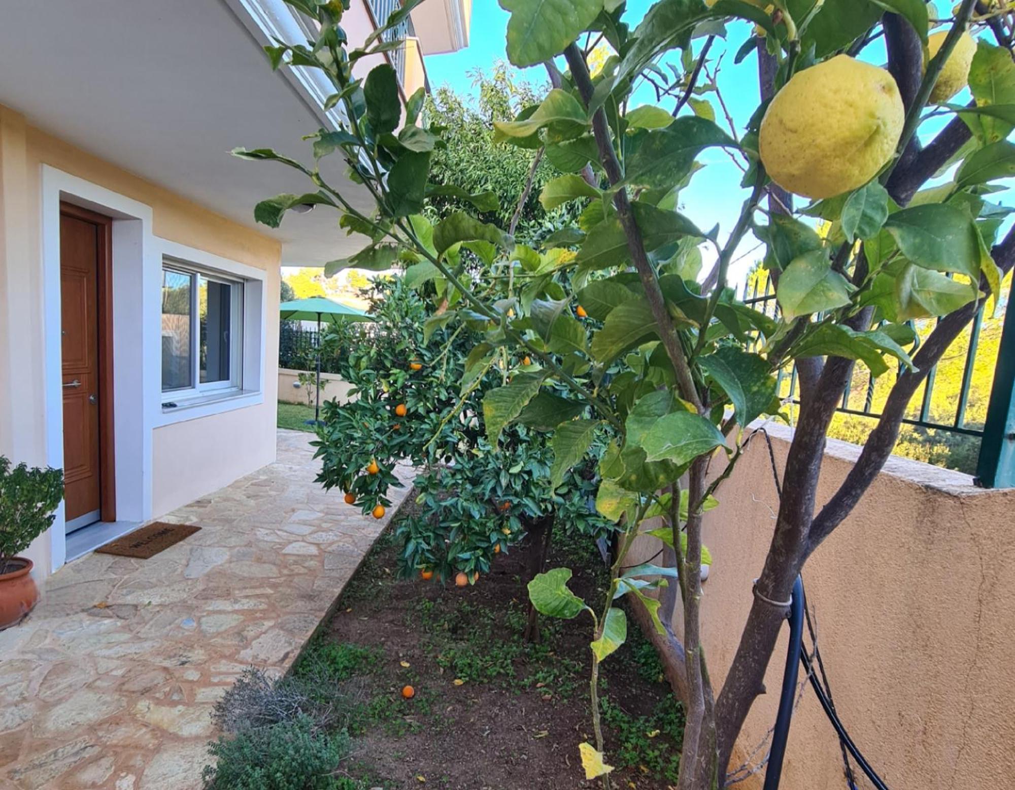 Holiday home Philoxenia Oropos / Just Moments From The Sea Nea Palatia